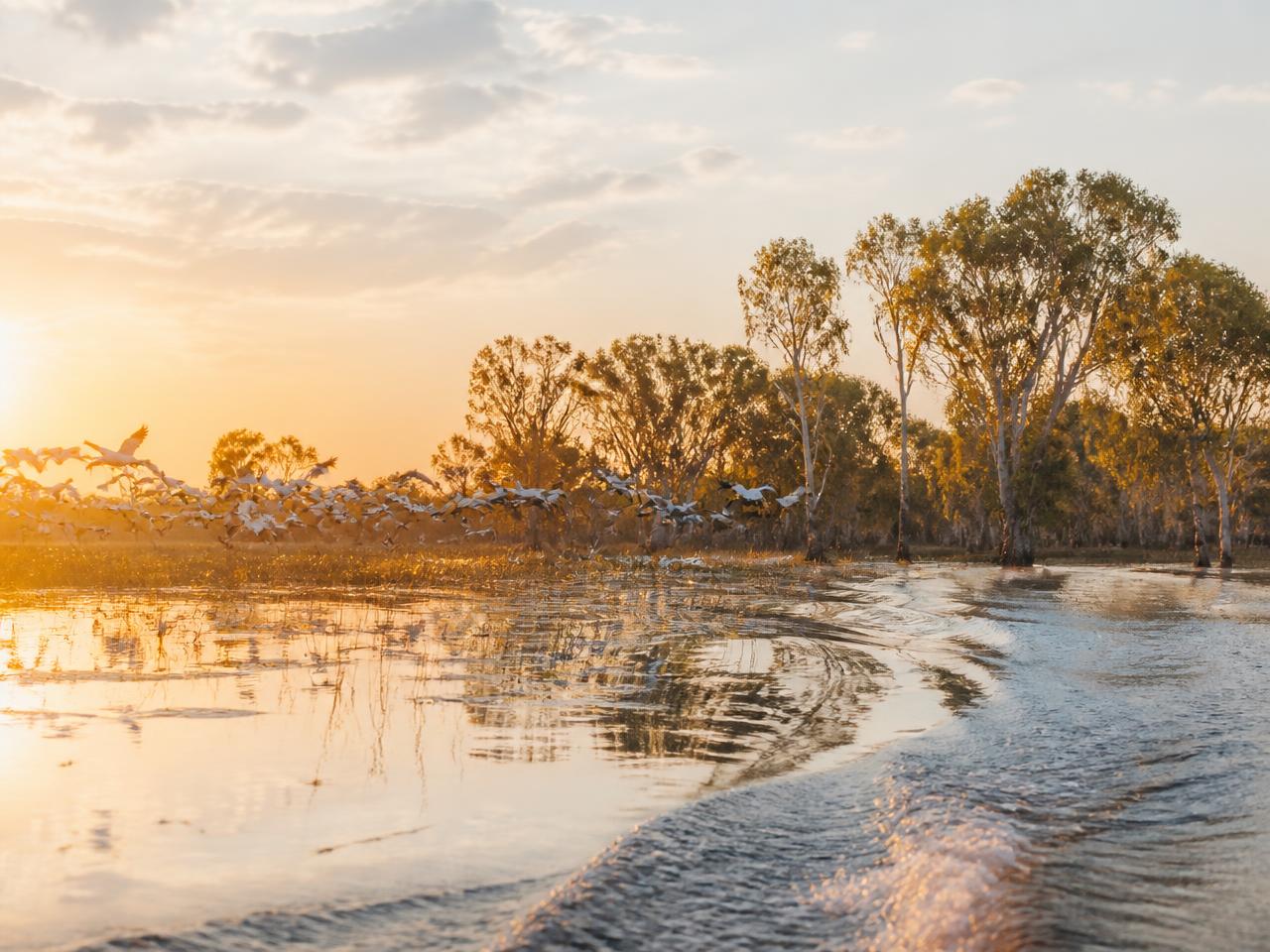 Airboat crossing a wide wetland floodplain with waterbirds rising at dawn